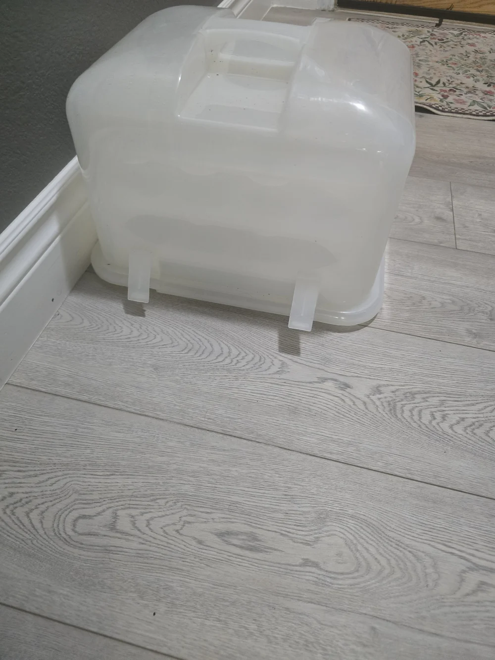 White 36-Cupcake Carrier with Handle